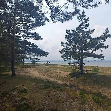 Spacious In Near The Sea Loksa
